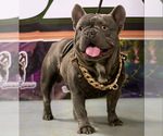 Small #37 Breeder Profile image