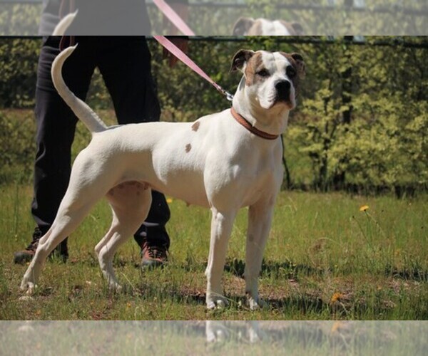 Medium Photo #1  Breeder Profile in WILKESBORO, NC, USA