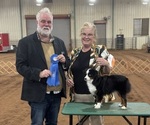 Small #16 Breeder Profile image