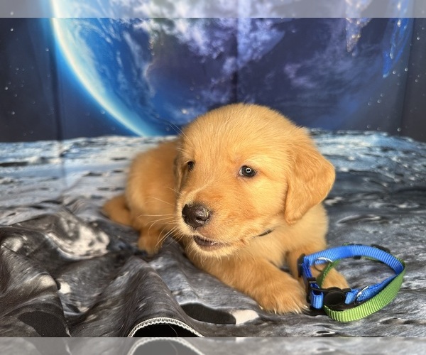 Medium Photo #1  Breeder Profile in APPLE VALLEY, CA, USA