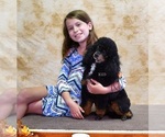 Small #3 Breeder Profile image