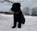 Small #1 Breeder Profile image