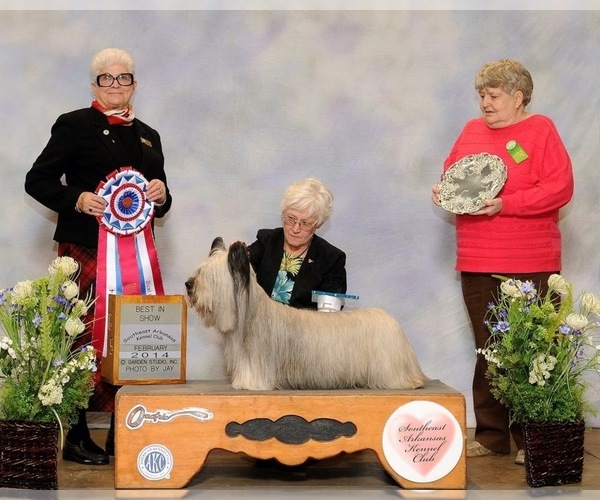 Medium Photo #6  Breeder Profile in LAKESIDE, CA, USA