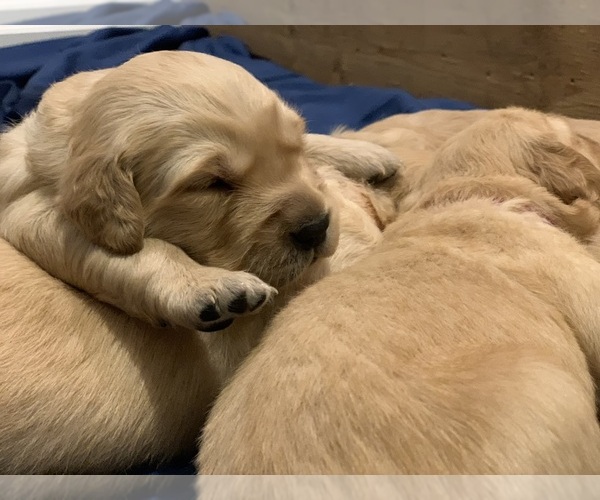 Medium Photo #9  Breeder Profile in LE ROY, MN, USA