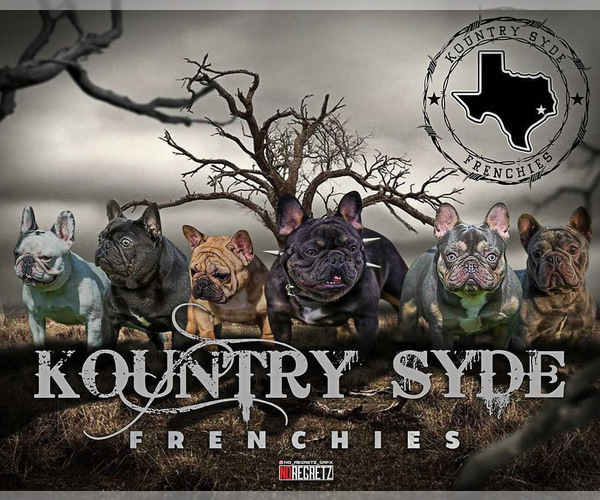 Medium Photo #1  Breeder Profile in HOUSTON, TX, USA