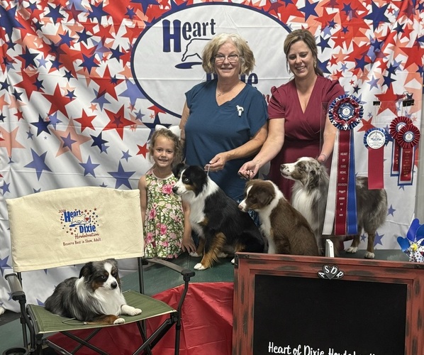 Medium Photo #28  Breeder Profile in NOLENSVILLE, TN, USA
