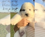 Small #3 Breeder Profile image