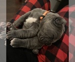 Small #15 Breeder Profile image