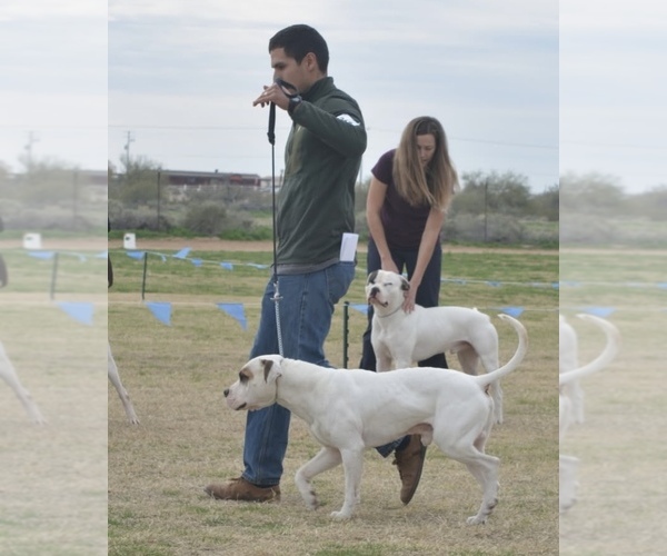 Medium Photo #9  Breeder Profile in GALLUP, NM, USA