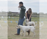 Small #8 Breeder Profile image
