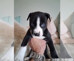 Small #14 Breeder Profile image