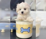 Small #8 Breeder Profile image
