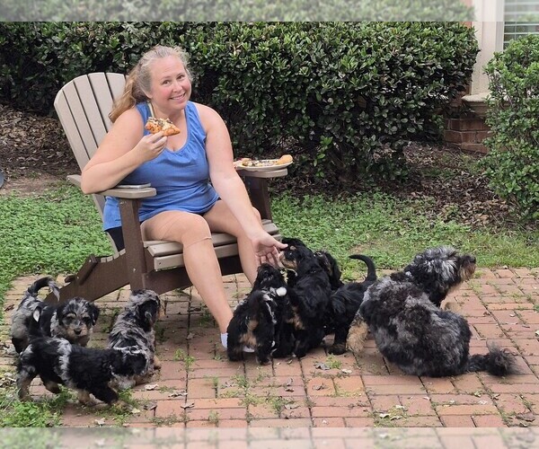 Medium Photo #1  Breeder Profile in GREENSBORO, NC, USA