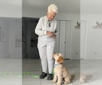 Small #21 Breeder Profile image