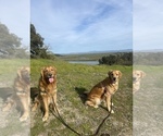 Small #3 Breeder Profile image