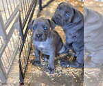 Small #3 Breeder Profile image
