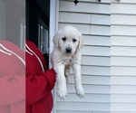 Small #1 Breeder Profile image