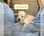 Small #8 Breeder Profile image