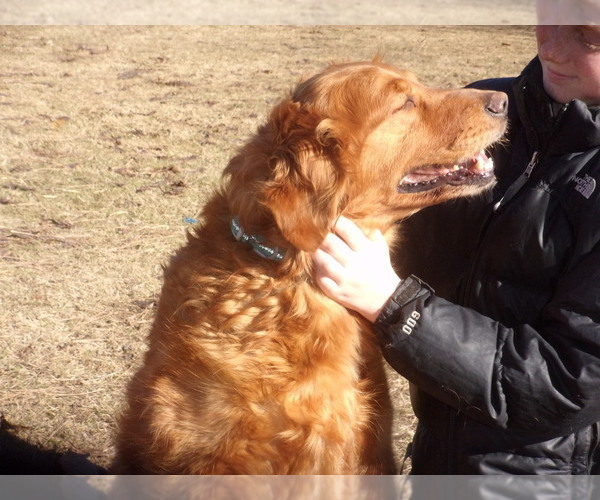 Medium Photo #1  Breeder Profile in PROSSER, WA, USA