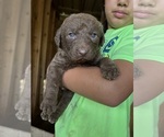 Small #3 Breeder Profile image