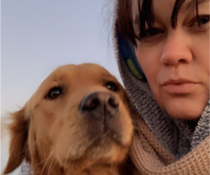 Aussie-Corgi Dog Breeder near SANFORD, CO, USA