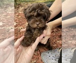 Small #17 Breeder Profile image