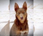 Small #30 Breeder Profile image