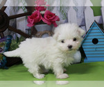 Small #27 Breeder Profile image