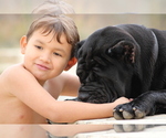 Small #43 Breeder Profile image