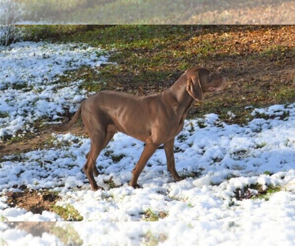 Medium Photo #1  Breeder Profile in MILLBROOK, AL, USA