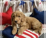Small #3 Breeder Profile image