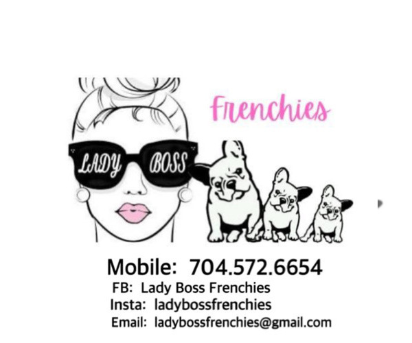 Medium Photo #1  Breeder Profile in ALBANY, GA, USA