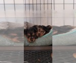 Small #195 Breeder Profile image