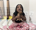Small #6 Breeder Profile image