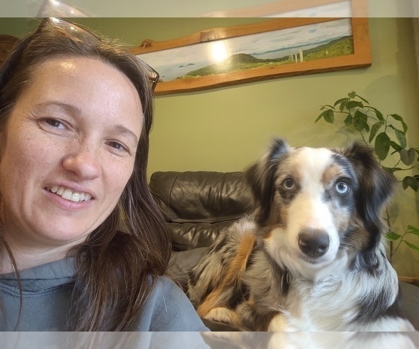 Medium Photo #1  Breeder Profile in MEDINA, OH, USA
