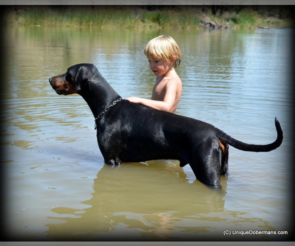 Medium Photo #7  Breeder Profile in FRUITA, CO, USA