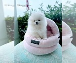 Small #30 Breeder Profile image