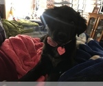 Small #77 Breeder Profile image