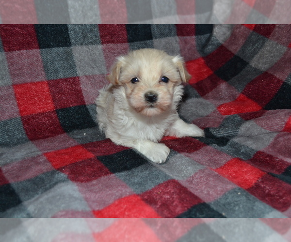 Medium Photo #8  Breeder Profile in GREENWOOD, WI, USA