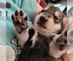 Small #3 Breeder Profile image