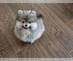 Small #13 Breeder Profile image