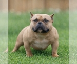 Small #4 Breeder Profile image