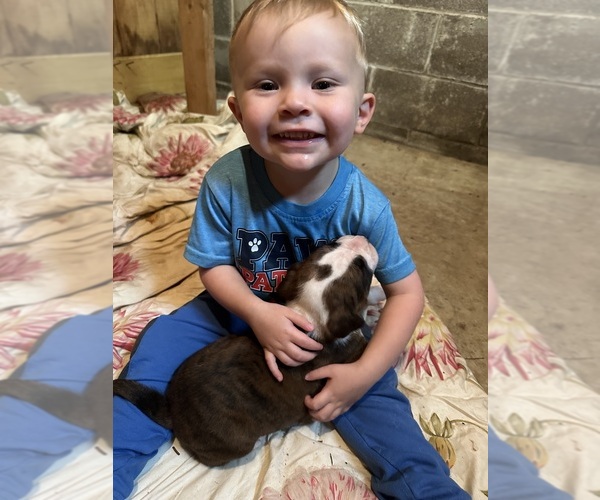 Medium Photo #1  Breeder Profile in MARTVILLE, NY, USA