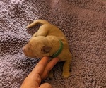 Small #5 Breeder Profile image