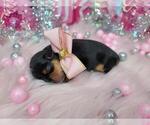 Small #30 Breeder Profile image