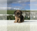 Small #2 Breeder Profile image