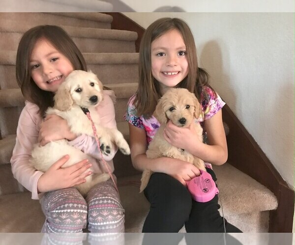 Medium Photo #5  Breeder Profile in COLORADO SPRINGS, CO, USA