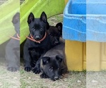 Small #16 Breeder Profile image