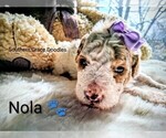 Small #133 Breeder Profile image