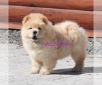 Small breeder photo